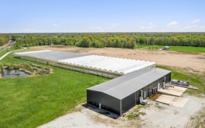 LENDER OWNED BUILDING & EQUIPMENT AUCTION:Commercial Greenhouse/Hydroponics Nursery Facility with All Support Equipment Taylorville, IL