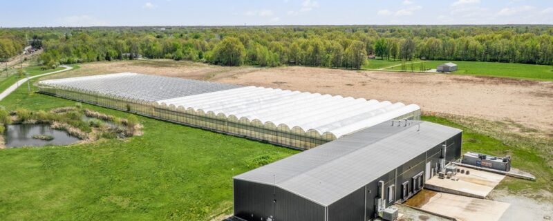LENDER OWNED BUILDING & EQUIPMENT AUCTION:<br>Commercial Greenhouse/Hydroponics Nursery Facility with All Support Equipment <br>Taylorville, IL